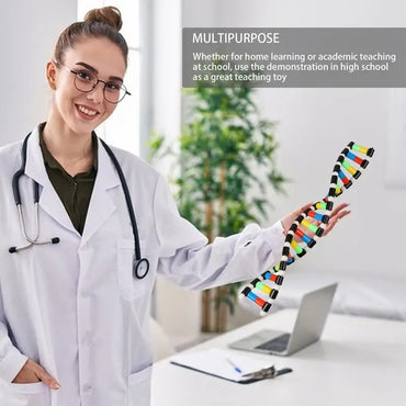 DNA Model Kit Portable Assembly Double Helix Toys Preschool Science Toys Teaching Aids Learning And Educational Toys DNA Games