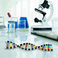 DNA Model Kit Portable Assembly Double Helix Toys Preschool Science Toys Teaching Aids Learning And Educational Toys DNA Games