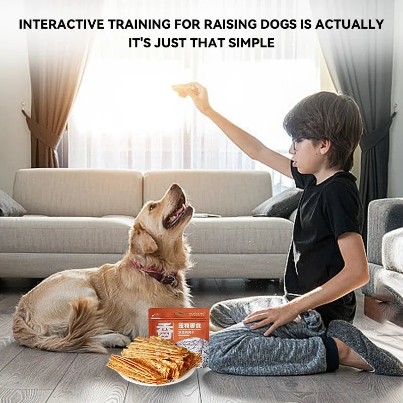 Dog Snacks Chicken Breast Jerky 500g Pure Beef Jerky 25g Nutritious  Delicious Adult Dog Puppy Training Rewards Pet Snacks Foods