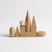 Wooden 3D Shapes Geometric Solid Blocks Preschool Learning , Set of 10