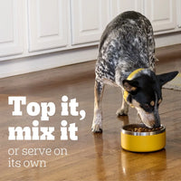 12 Pack Chopped Ground Wet Dog Food Puppies Chicken Beef Flavor 13.2 Oz Can Nutrient Rich Calcium DHA Healthy Development