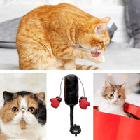 Cat Boxing Toy Interactive Game Teaser Boxing Toys Cats Punching Bag Creativity Home Portable Pet Dog Training Tools Mini  Gym